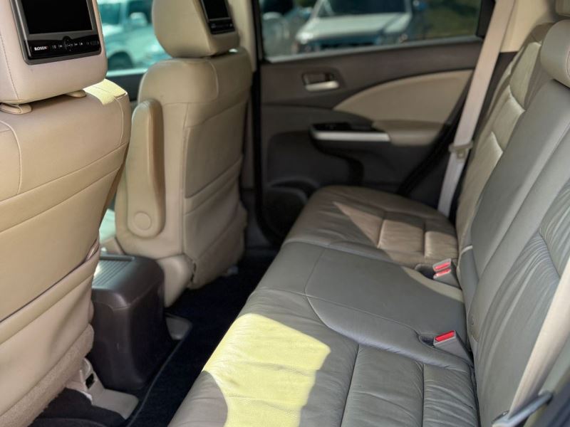 WhatsApp Image 2026-02-10 at 3.17.45 PM