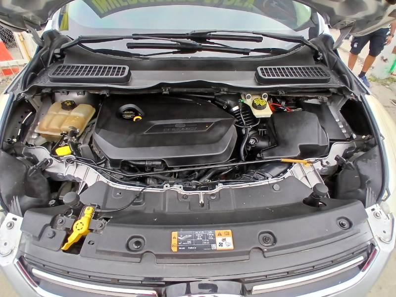 WhatsApp Image 2026-02-10 at 4.07.37 PM (2)