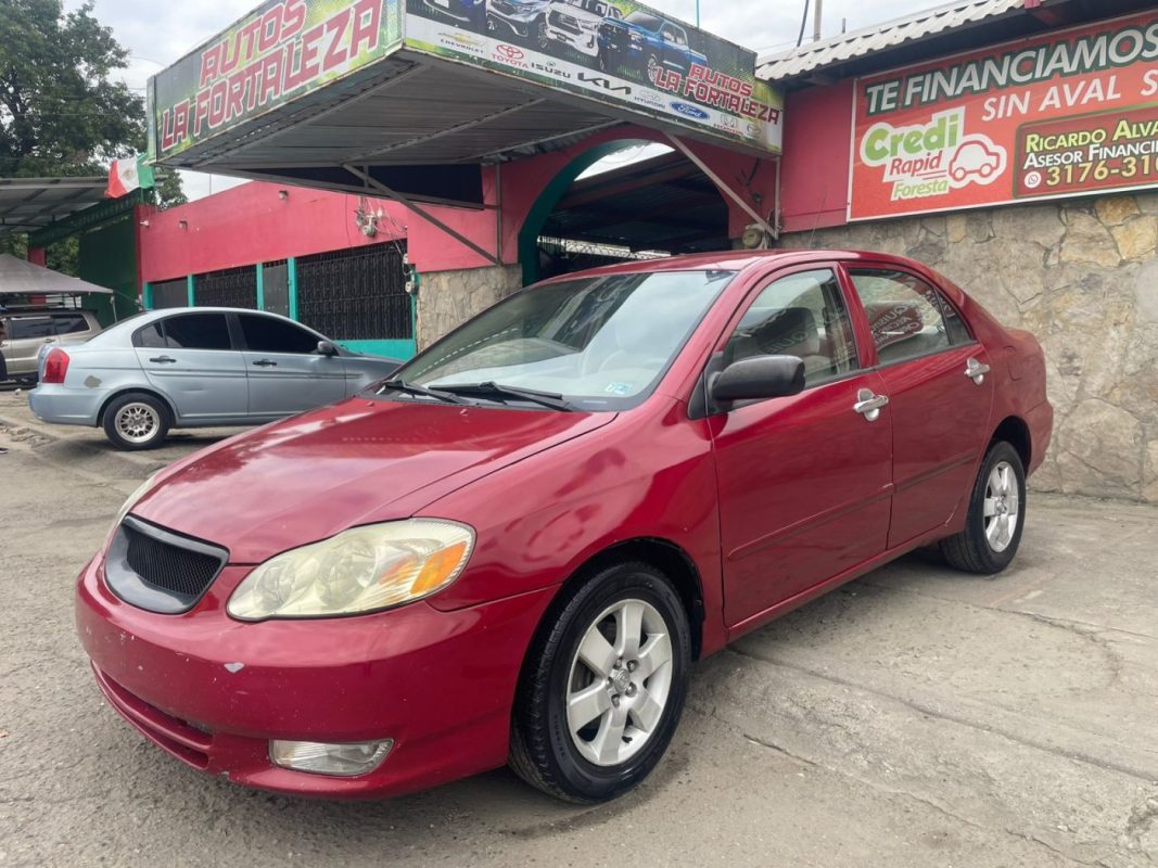 WhatsApp Image 2026-02-10 at 4.32.04 PM