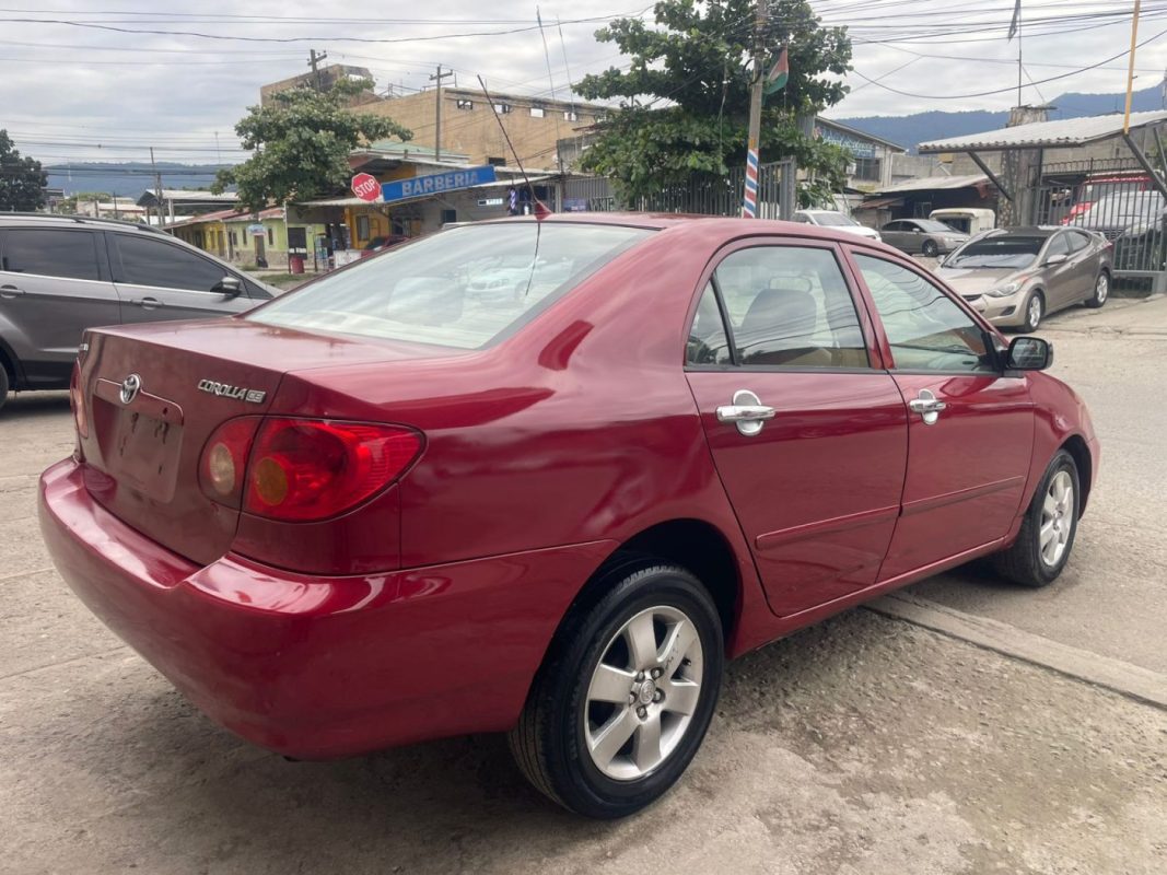 WhatsApp Image 2026-02-10 at 4.32.10 PM (2)