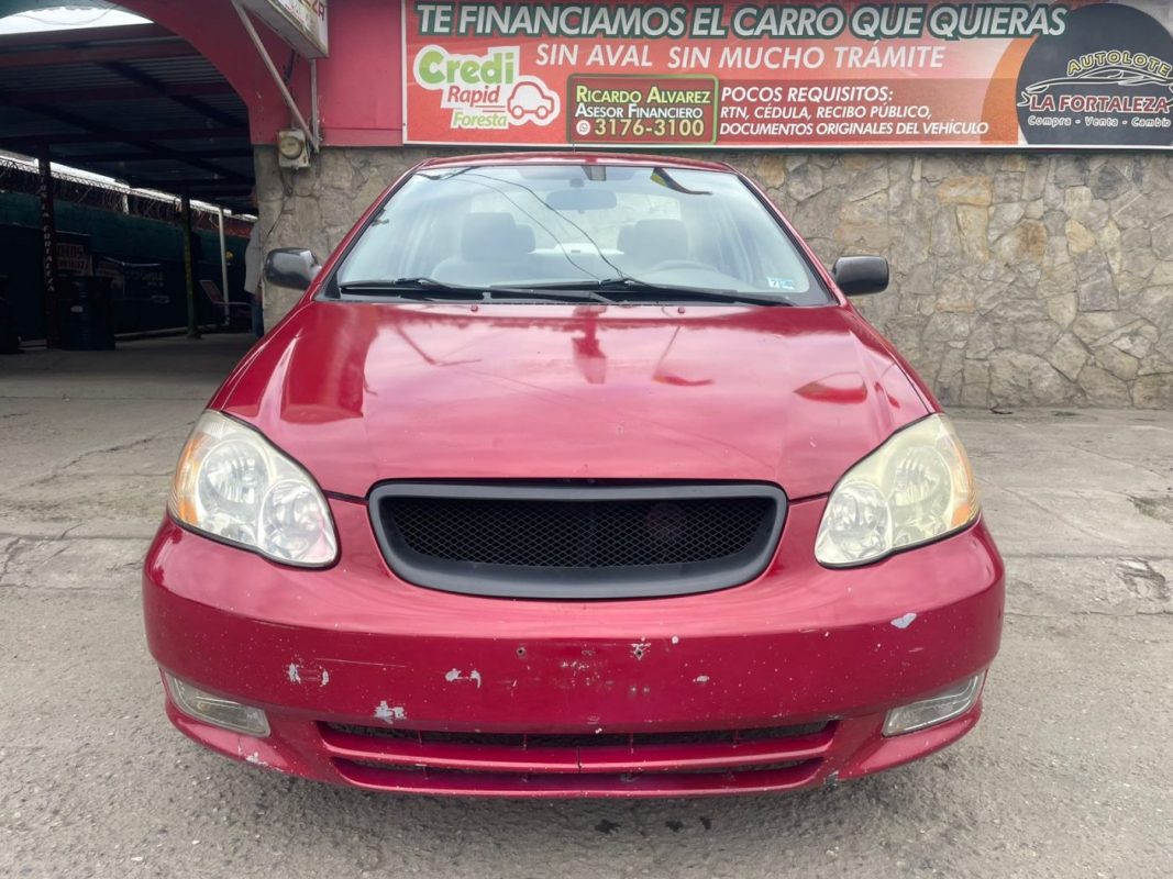 WhatsApp Image 2026-02-10 at 4.32.10 PM