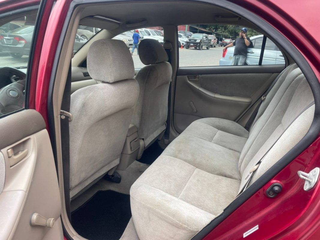 WhatsApp Image 2026-02-10 at 4.32.11 PM (2)