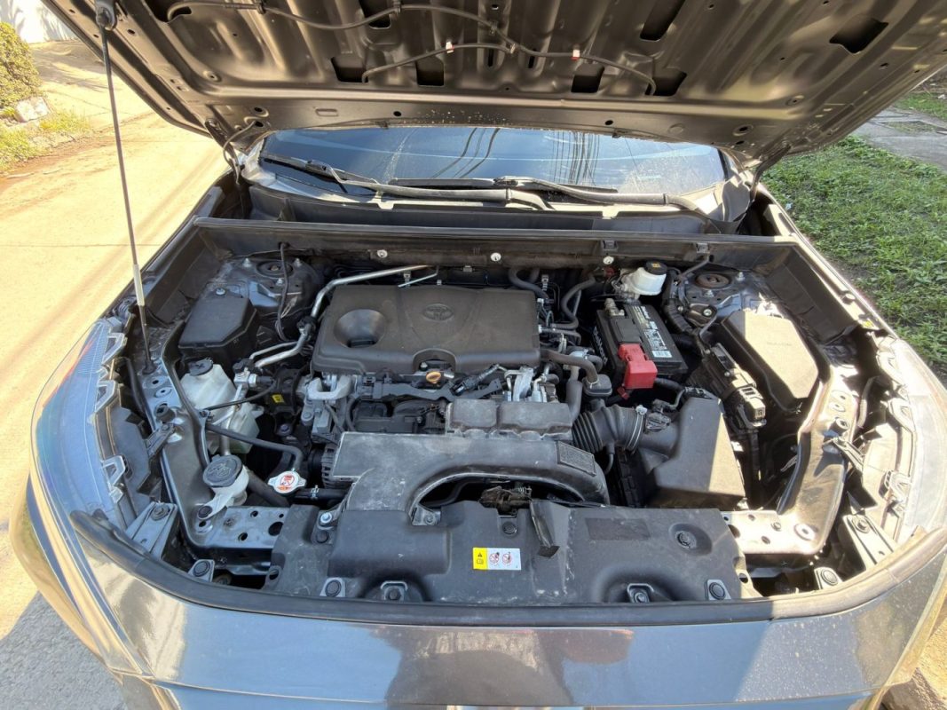 WhatsApp Image 2026-02-10 at 9.56.59 AM