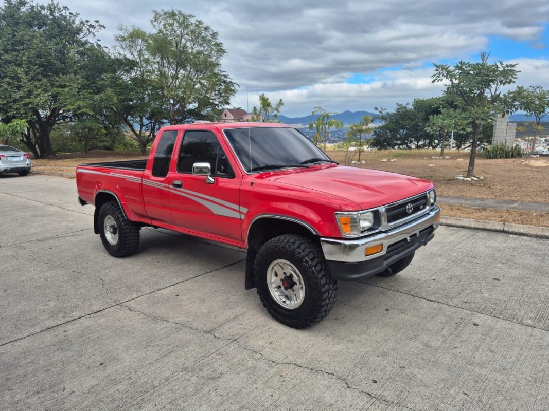 WhatsApp Image 2026-02-11 at 1.55.35 PM