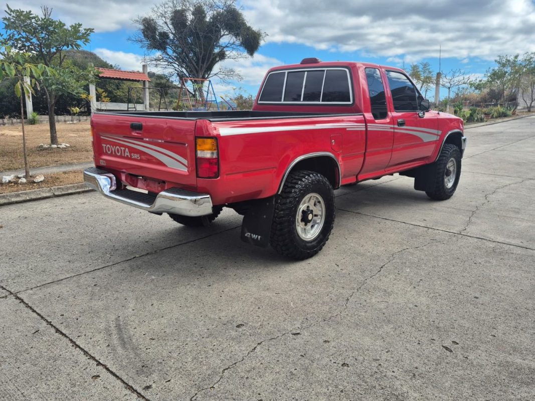 WhatsApp Image 2026-02-11 at 1.55.37 PM