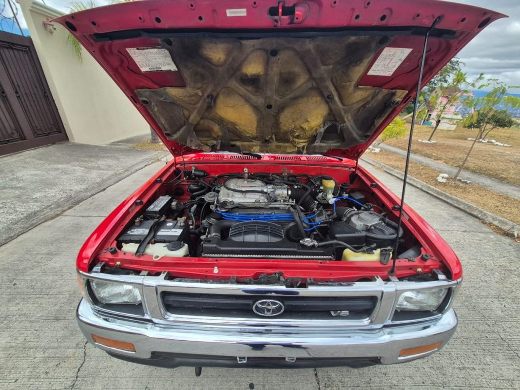 WhatsApp Image 2026-02-11 at 1.55.38 PM (3)