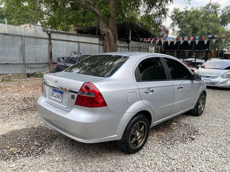 WhatsApp Image 2026-02-11 at 10.56.46 AM (4)