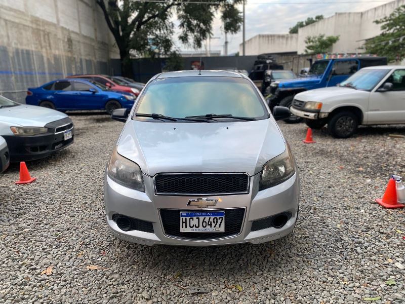 WhatsApp Image 2026-02-11 at 10.56.46 AM