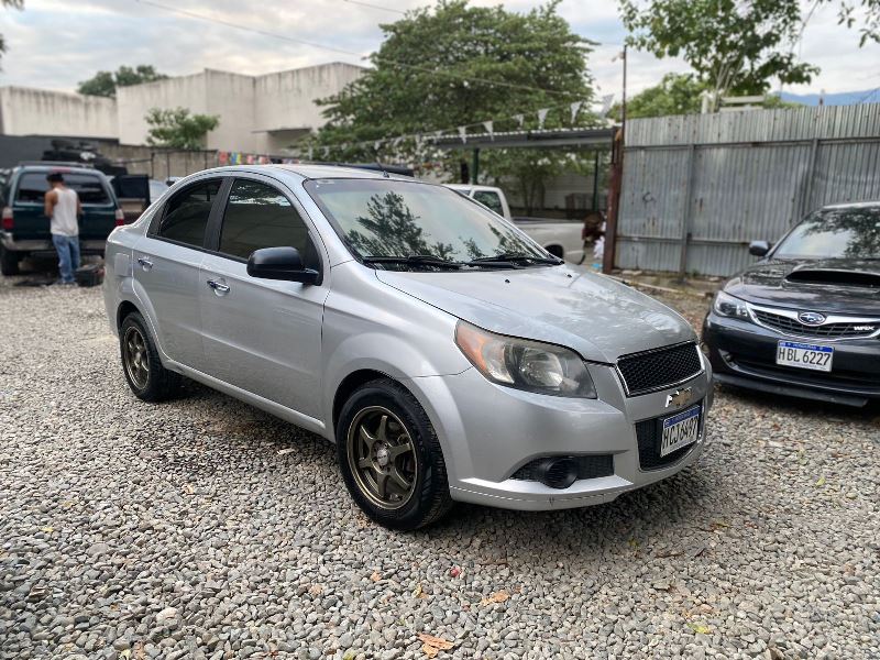 WhatsApp Image 2026-02-11 at 10.56.47 AM