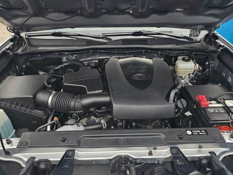 WhatsApp Image 2026-02-11 at 11.06.28 AM (3)