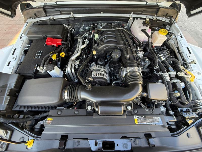 WhatsApp Image 2026-02-11 at 4.28.25 PM (3)