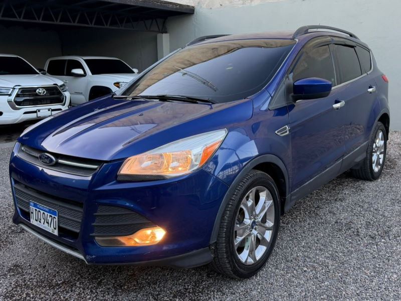 WhatsApp Image 2026-02-11 at 5.30.02 PM (1)