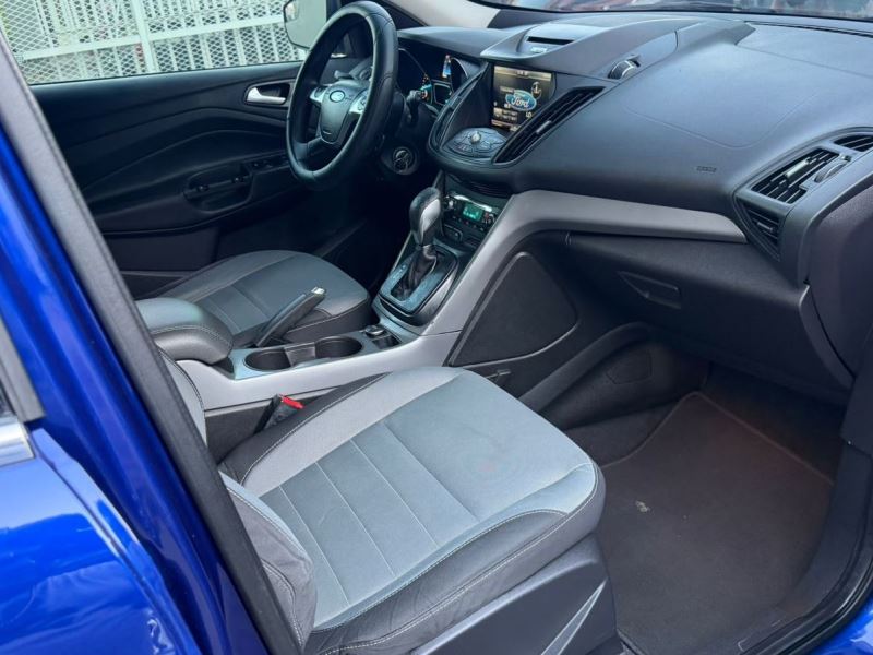 WhatsApp Image 2026-02-11 at 5.30.02 PM (2)