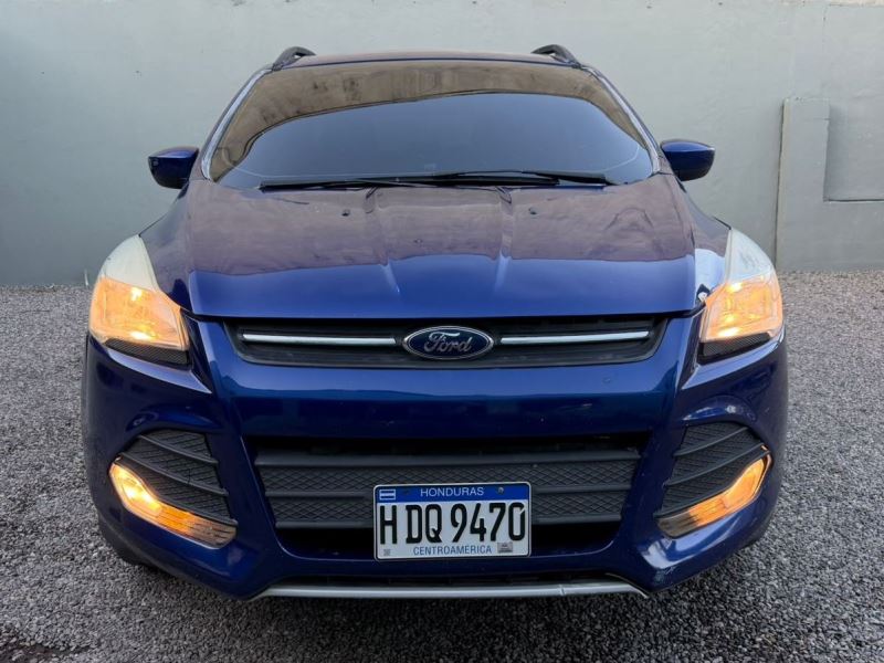 WhatsApp Image 2026-02-11 at 5.30.02 PM