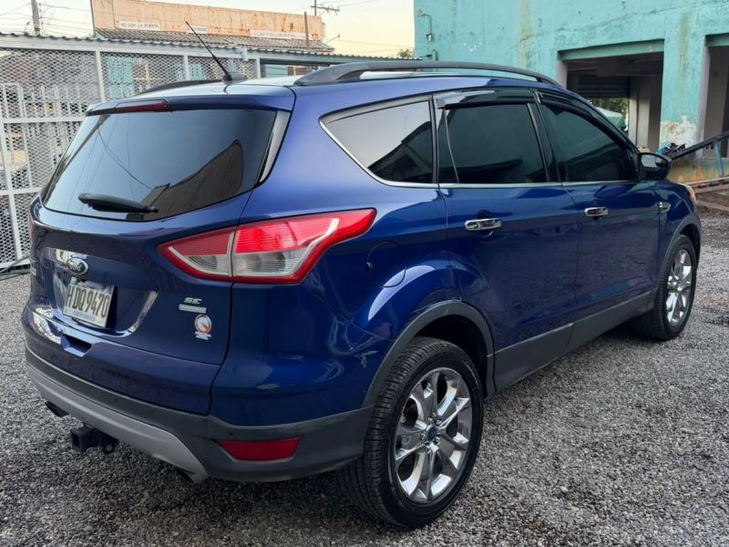 WhatsApp Image 2026-02-11 at 5.30.03 PM (3)