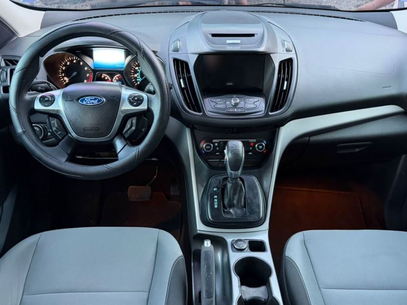 WhatsApp Image 2026-02-11 at 5.30.03 PM (5)