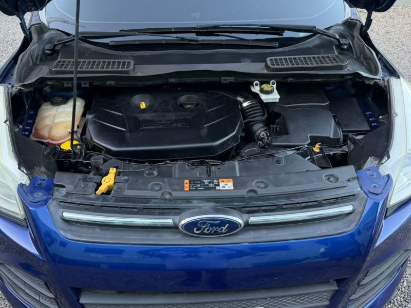 WhatsApp Image 2026-02-11 at 5.30.03 PM