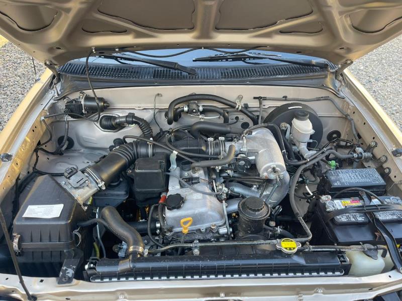 WhatsApp Image 2026-02-11 at 6.29.48 PM