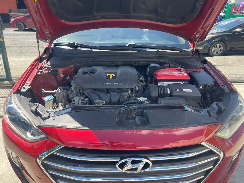 WhatsApp Image 2026-02-11 at 8.30.31 AM (3)