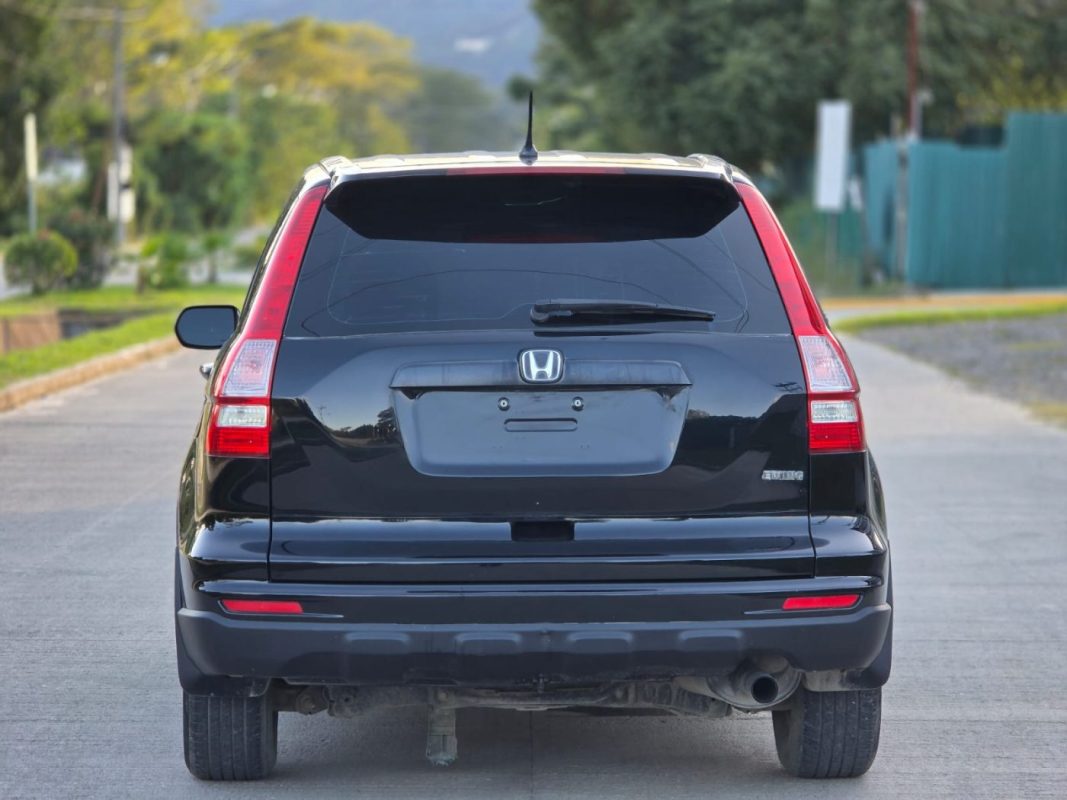 WhatsApp Image 2026-02-12 at 5.18.45 PM