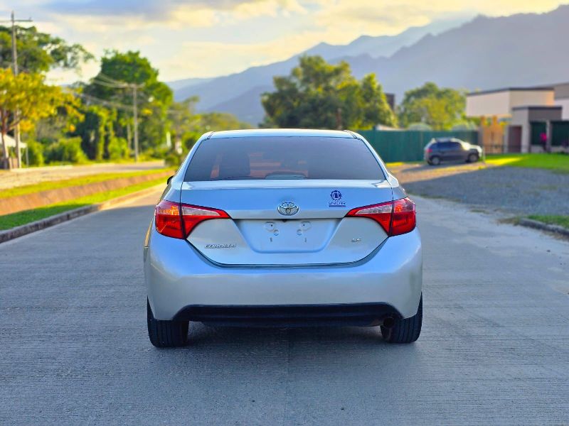 WhatsApp Image 2026-02-12 at 6.59.47 PM (1)