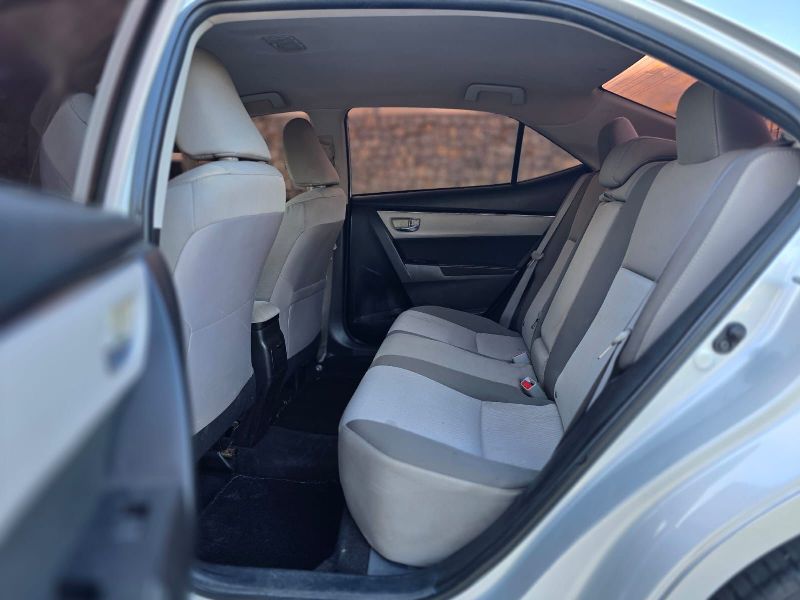 WhatsApp Image 2026-02-12 at 6.59.48 PM (2)