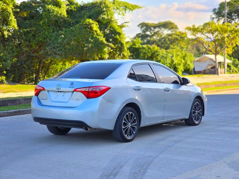 WhatsApp Image 2026-02-12 at 6.59.48 PM