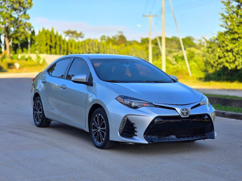 WhatsApp Image 2026-02-12 at 6.59.51 PM (2)