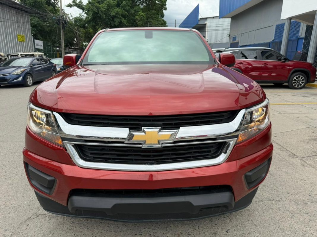 WhatsApp Image 2026-02-13 at 2.36.57 PM (1)