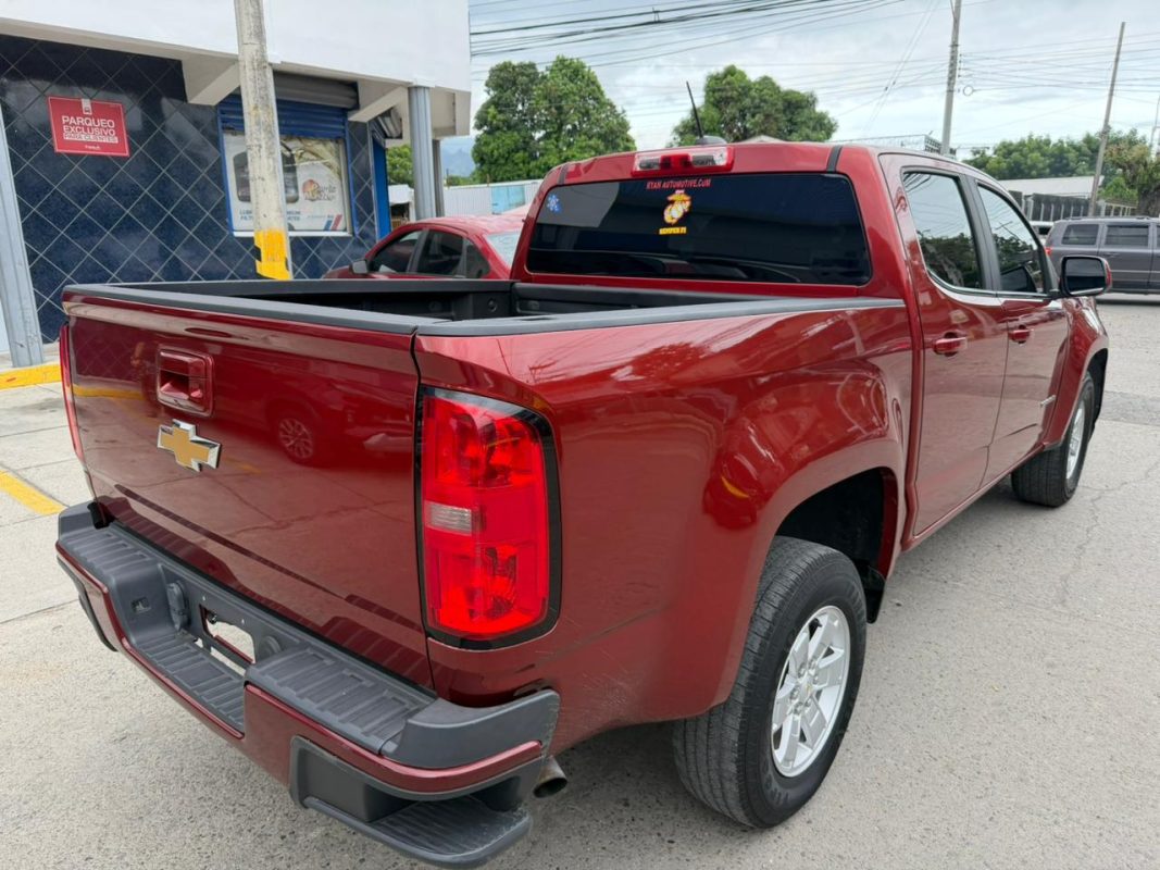 WhatsApp Image 2026-02-13 at 2.36.58 PM