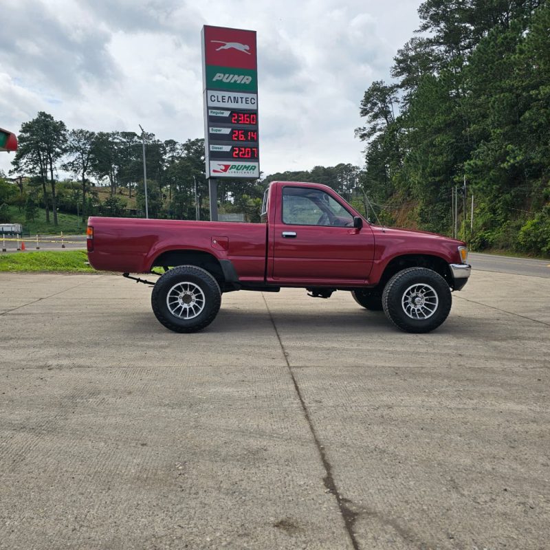 WhatsApp Image 2026-02-13 at 2.43.00 PM (1)