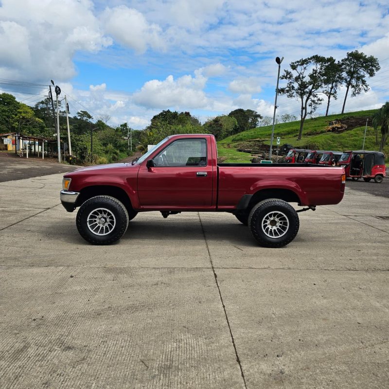 WhatsApp Image 2026-02-13 at 2.43.00 PM