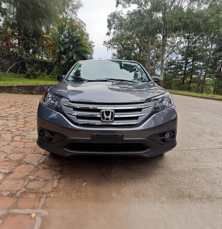 WhatsApp Image 2026-02-13 at 3.14.48 PM (1)