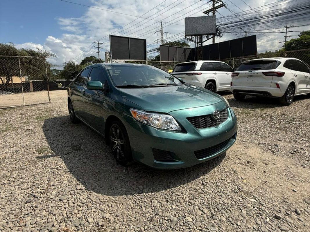 WhatsApp Image 2026-02-13 at 3.18.24 PM (1)