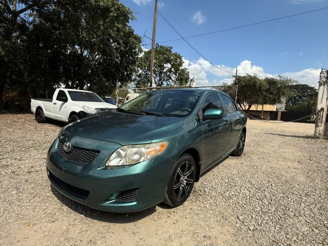 WhatsApp Image 2026-02-13 at 3.18.24 PM