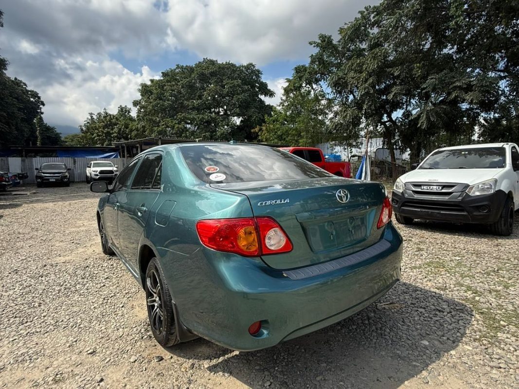 WhatsApp Image 2026-02-13 at 3.18.25 PM (1)