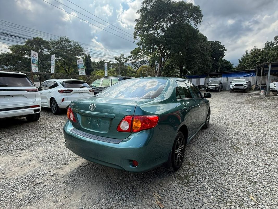 WhatsApp Image 2026-02-13 at 3.18.25 PM (2)