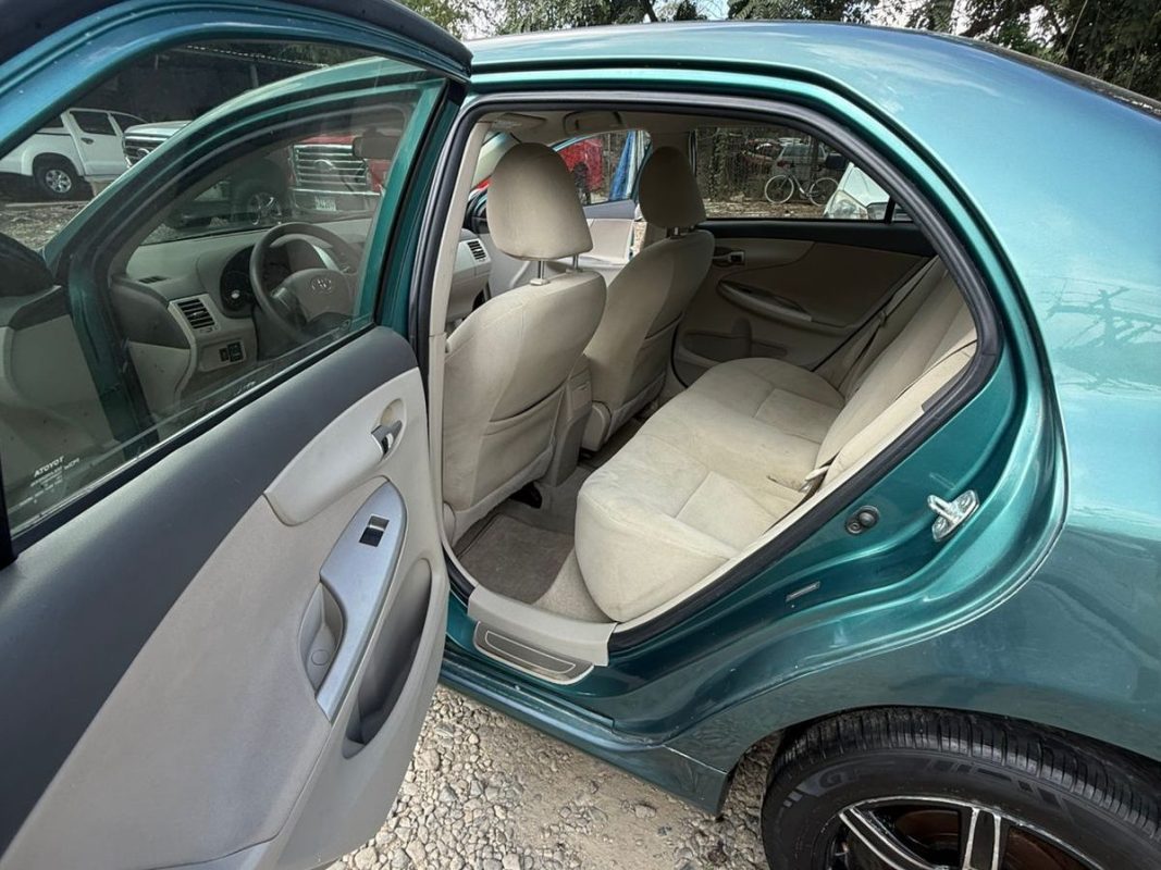 WhatsApp Image 2026-02-13 at 3.18.26 PM (1)