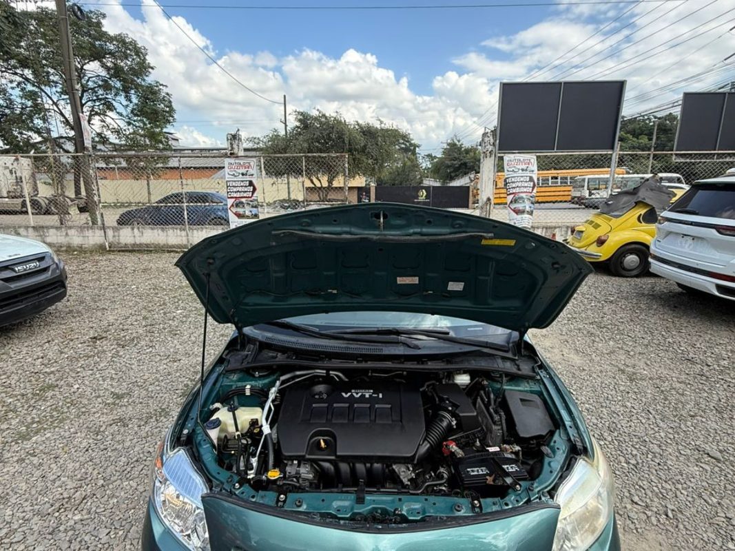 WhatsApp Image 2026-02-13 at 3.18.26 PM (4)