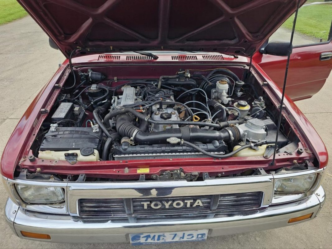 WhatsApp Image 2026-02-13 at 3.47.10 PM