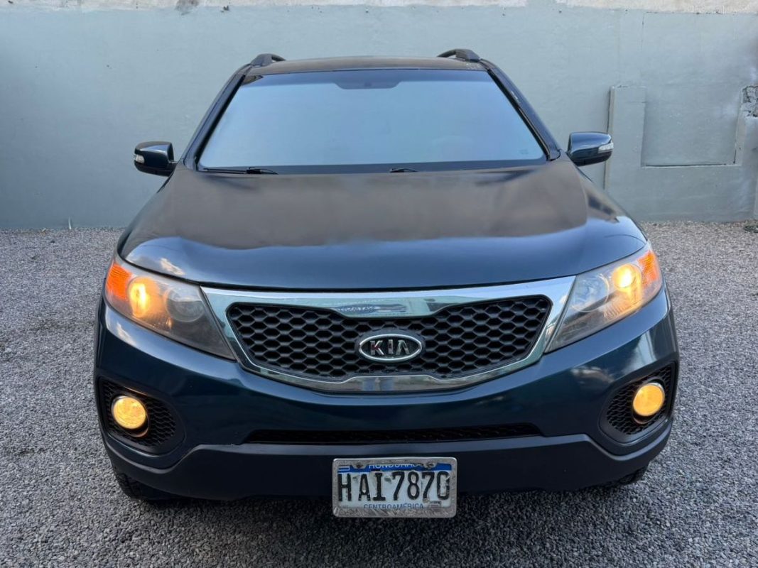 WhatsApp Image 2026-02-13 at 4.29.32 PM (2)