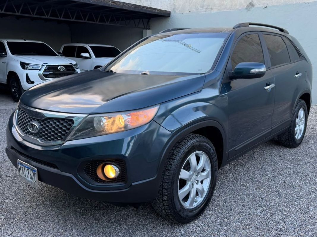 WhatsApp Image 2026-02-13 at 4.29.32 PM