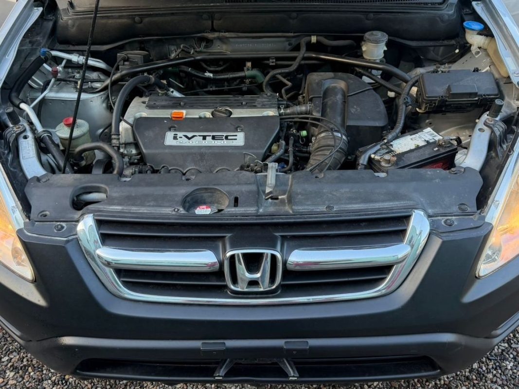 WhatsApp Image 2026-02-13 at 4.40.45 PM