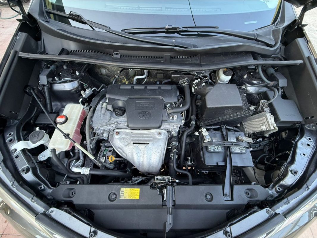 WhatsApp Image 2026-02-13 at 4.53.47 PM (1)