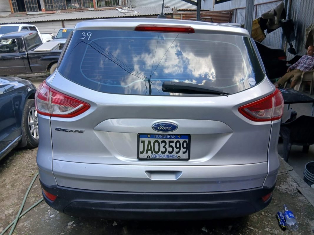 WhatsApp Image 2026-02-13 at 5.15.34 AM