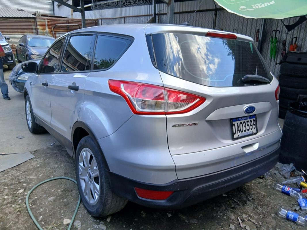 WhatsApp Image 2026-02-13 at 5.15.35 AM