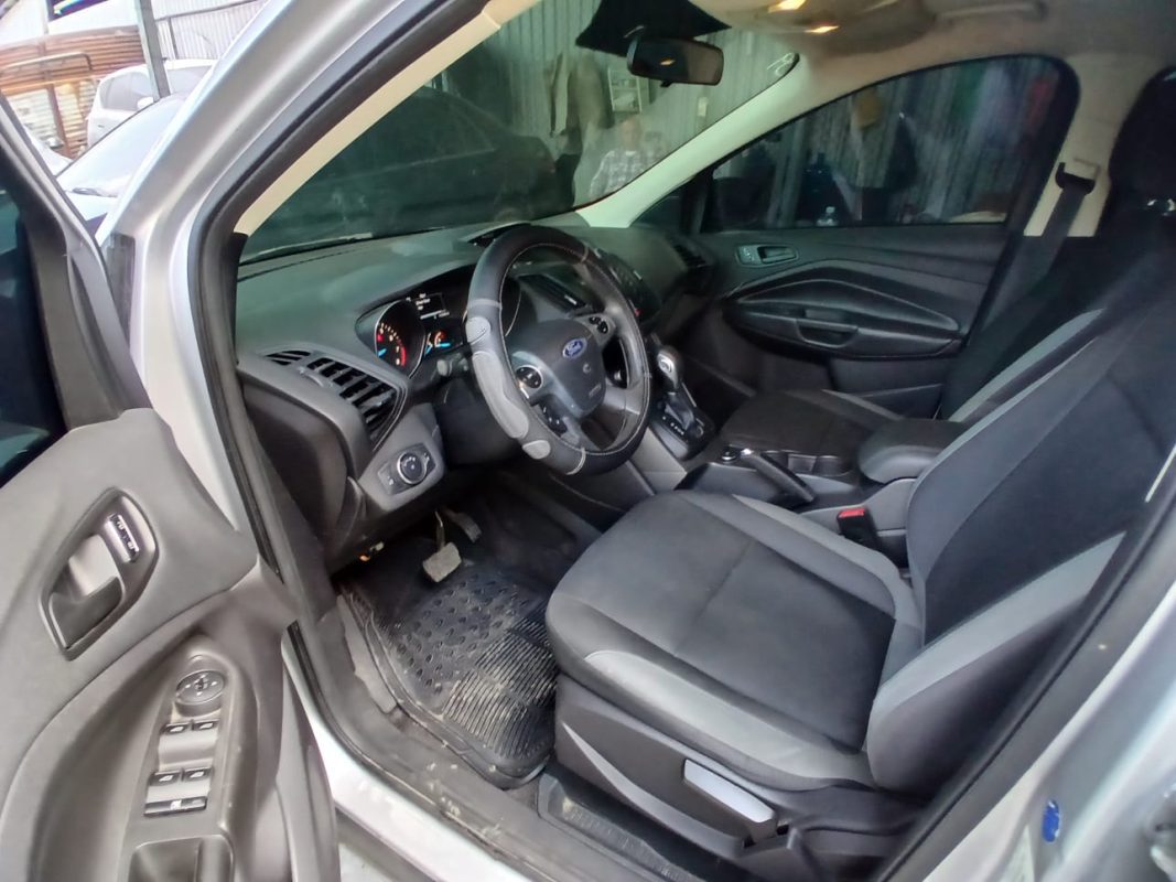 WhatsApp Image 2026-02-13 at 5.15.36 AM