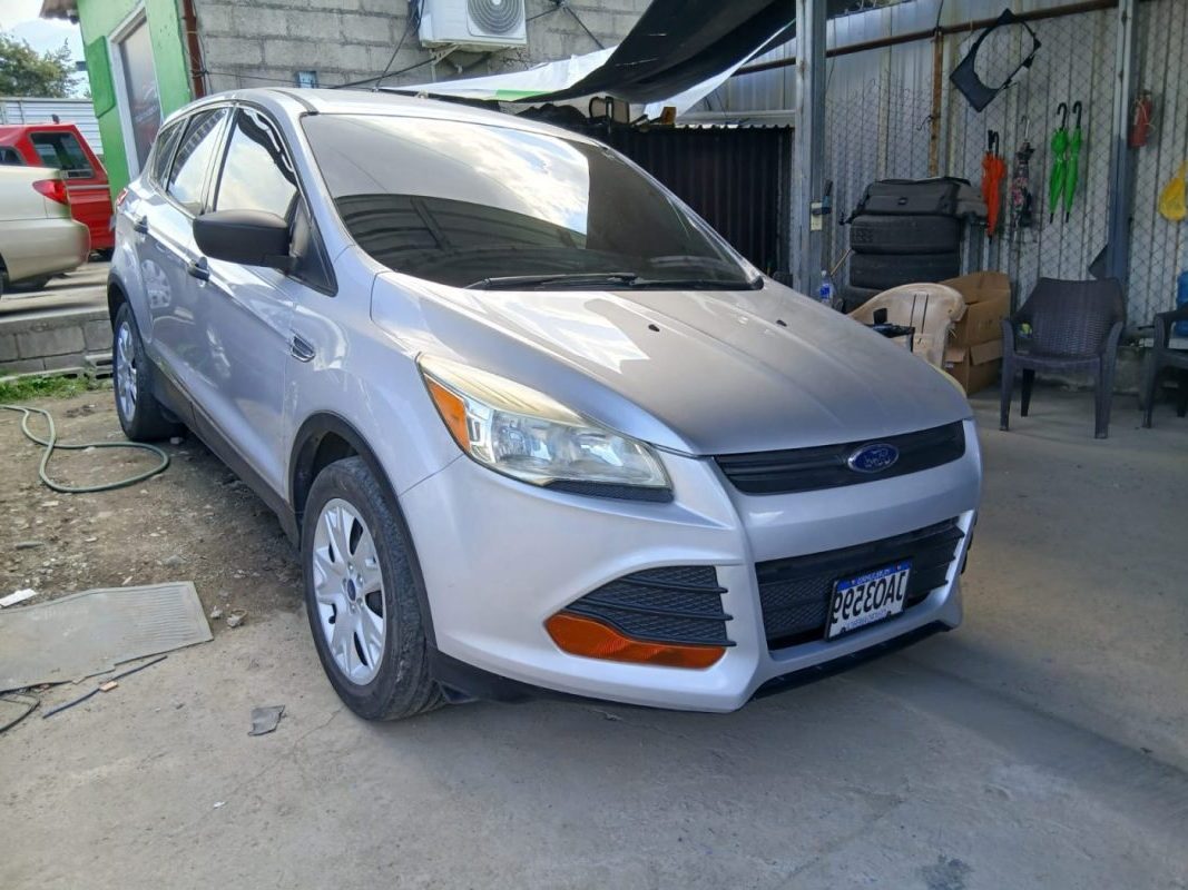 WhatsApp Image 2026-02-13 at 5.15.37 AM (1)