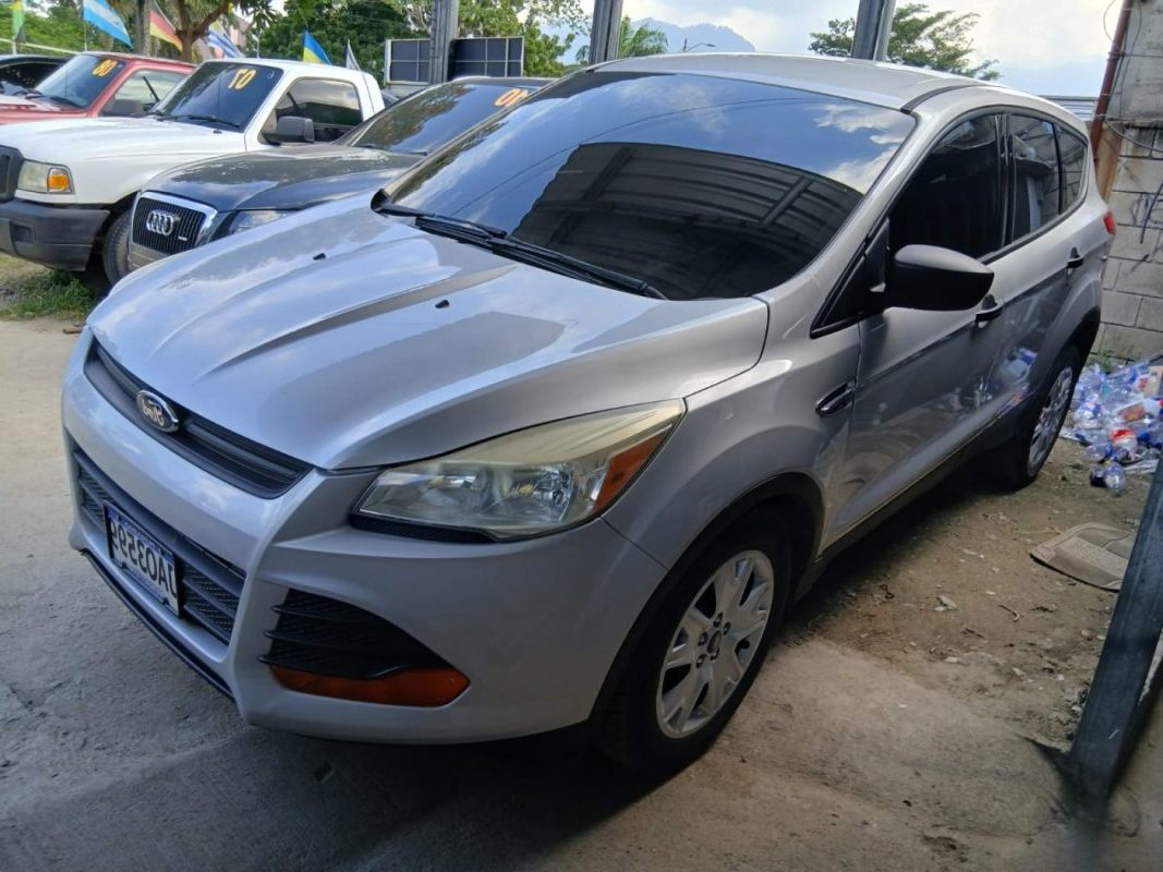 WhatsApp Image 2026-02-13 at 5.15.37 AM