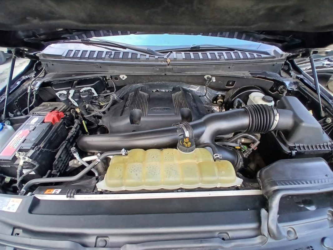 WhatsApp Image 2026-02-13 at 5.16.44 AM (2)